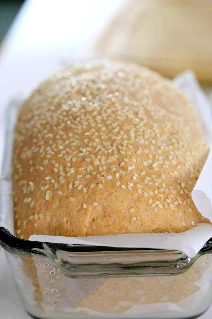100% Whole Wheat Bread Recipe | Pitzn #whole #wheat #sandwich #Bread