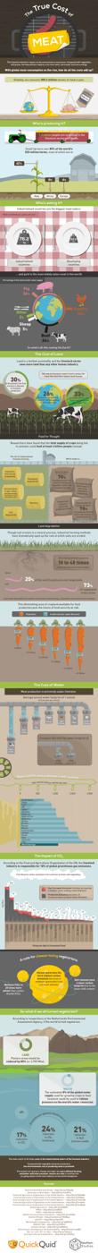 True Cost of Meat