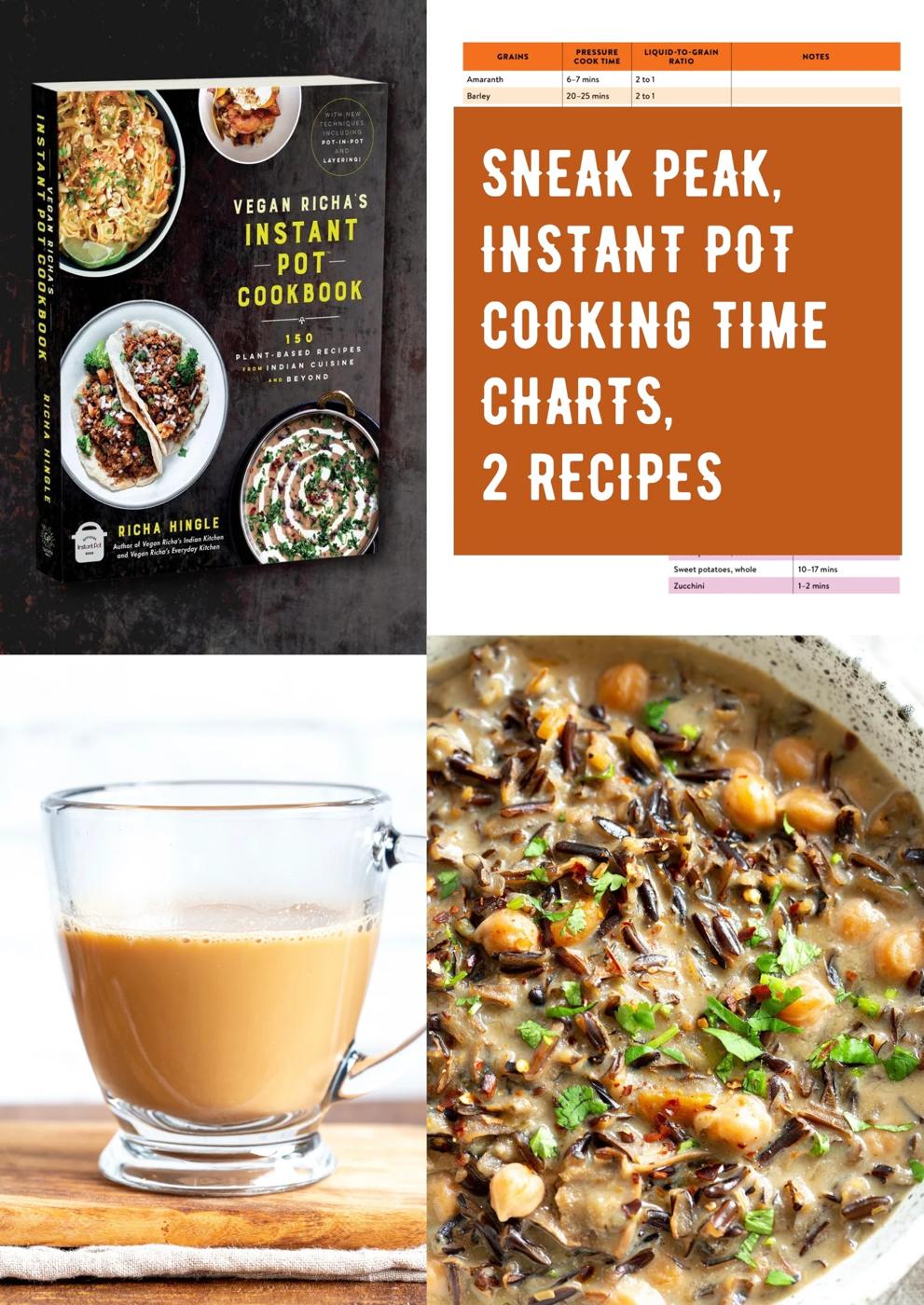 Pitzn Instant Pot cookbook cover and Bonuses