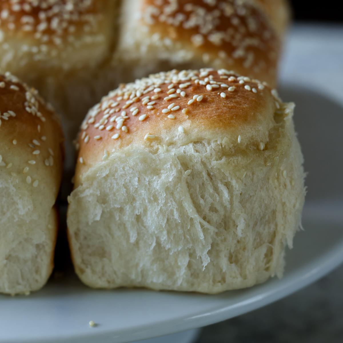 Fluffy Dinner Rolls