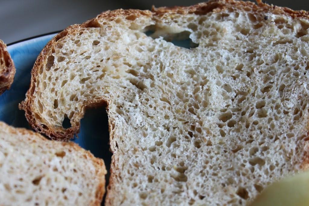 Lemony Multigrain Mini Loaf! (Vegan)