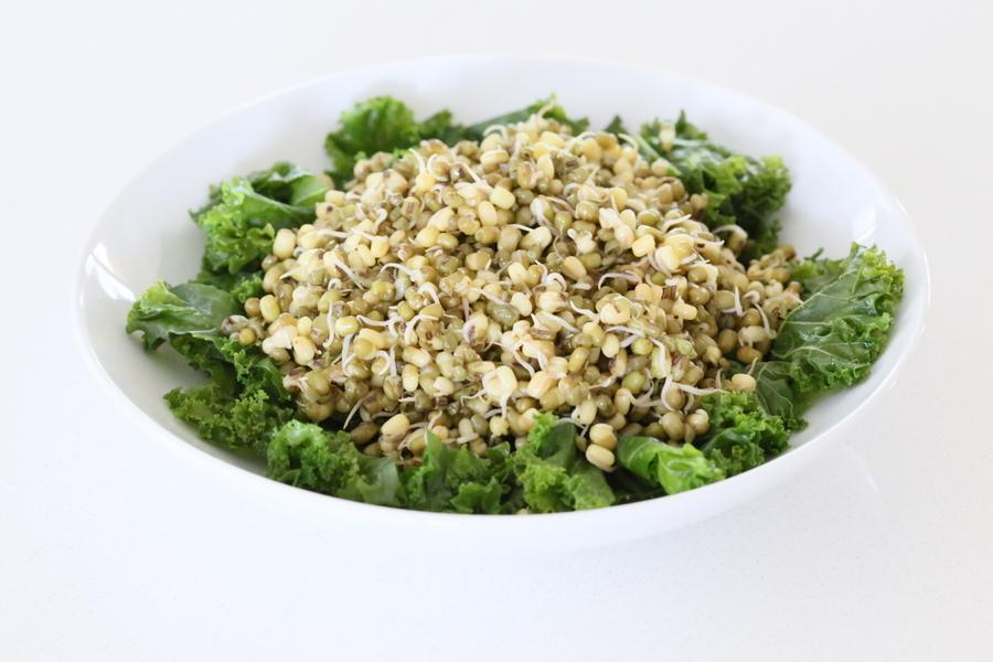 massaged kale being topped with sprouted mung beans