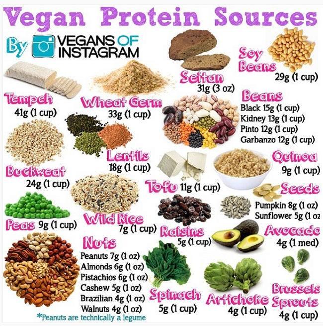 vegan protein