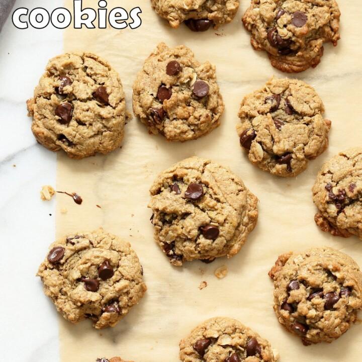 Oatmeal Chocolate Chip Sunbutter Cookies. Cinnamony Sunflower seed butter Oatmeal Cookies. These Soft Cookies come together really quickly and make a great snack or treat. Vegan Nut-free Recipe. Can be Gluten-free | VeganRicha.com