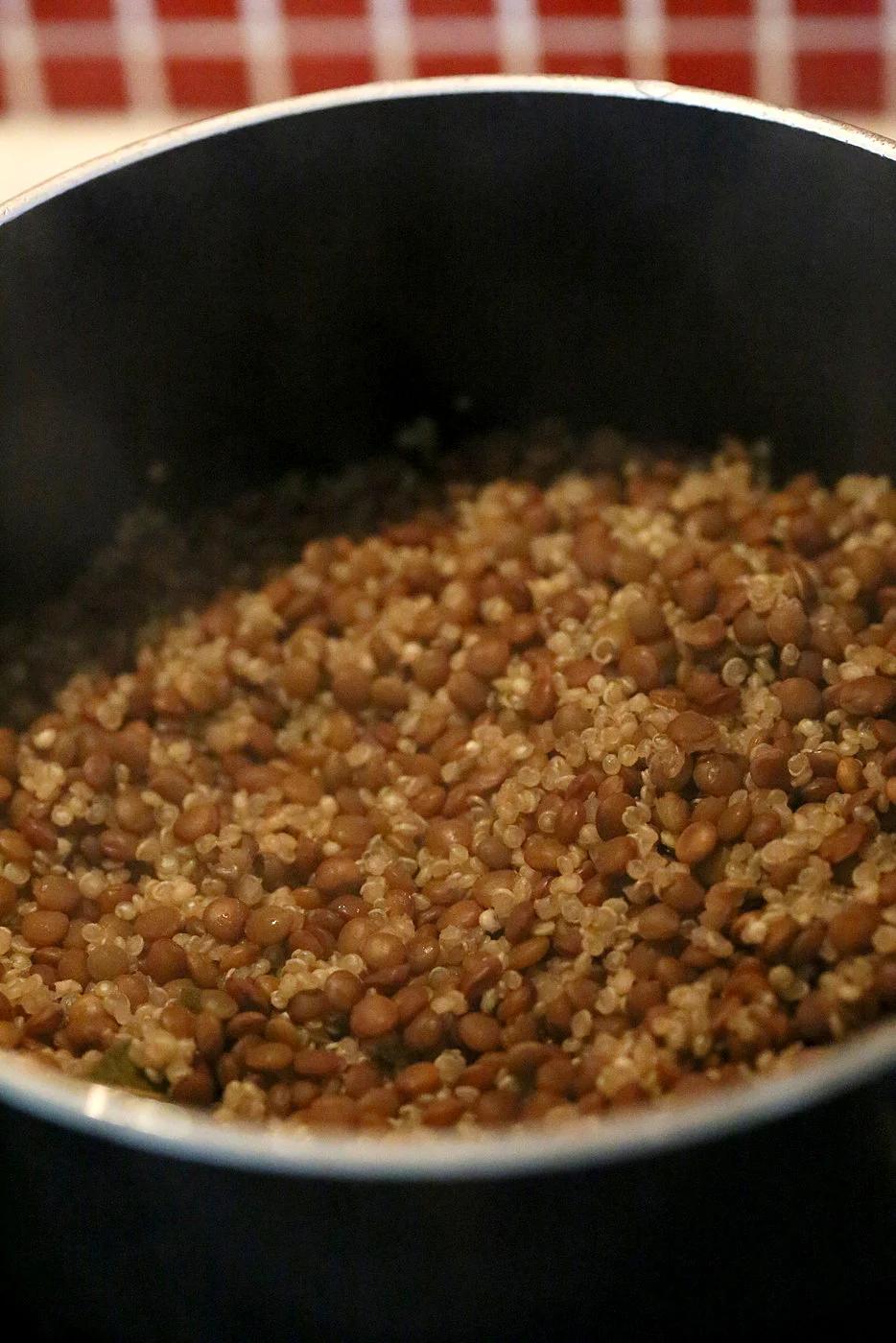 Vegan Lentil Quinoa Loaf | Pitzn