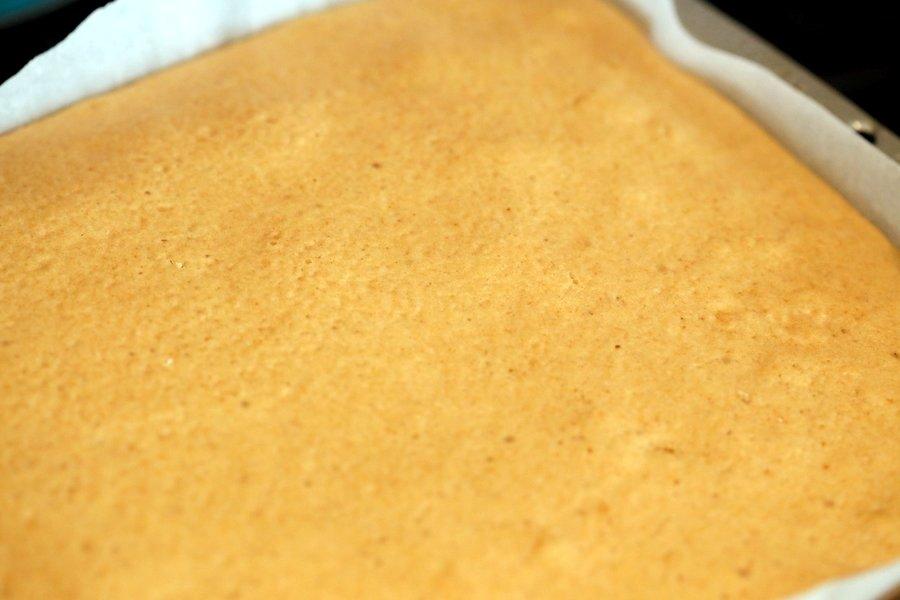 Vegan Swiss Roll | Pitzn