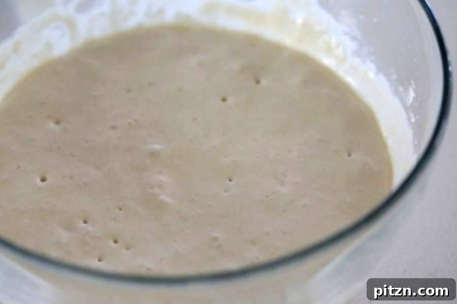 Effortless Oil-Free Vegan Pizza Dough 4 Basic Vegan Pizza Dough. Oil free | VeganRicha.com #vegan #pizza
