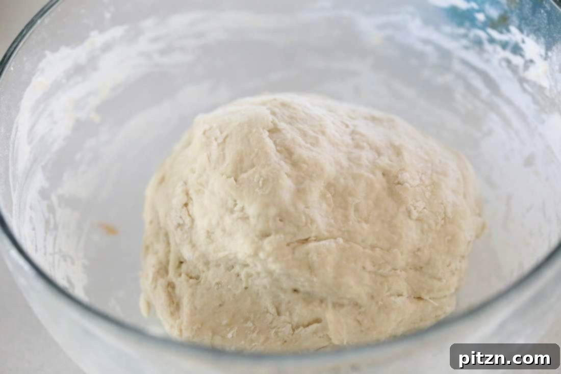 Effortless Oil-Free Vegan Pizza Dough 5 Basic Vegan Pizza Dough. Oil free | VeganRicha.com #vegan #pizza