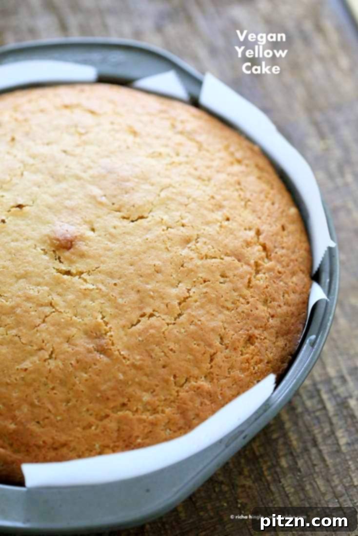 Perfect Plant-Based Yellow Cake 2 Easy Vegan Yellow Cake Recipe. Make any Number of layers, use frosting of choice to make layered birthday cake or holiday cake. This is a soft and moist vegan yellow cake recipe. #Vegan #Soyfree #Cake #Recipe