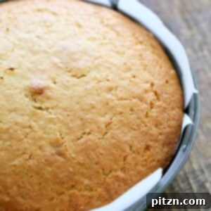 Perfect Plant-Based Yellow Cake 4 A beautifully moist slice of vegan yellow cake, ready to be frosted and enjoyed.