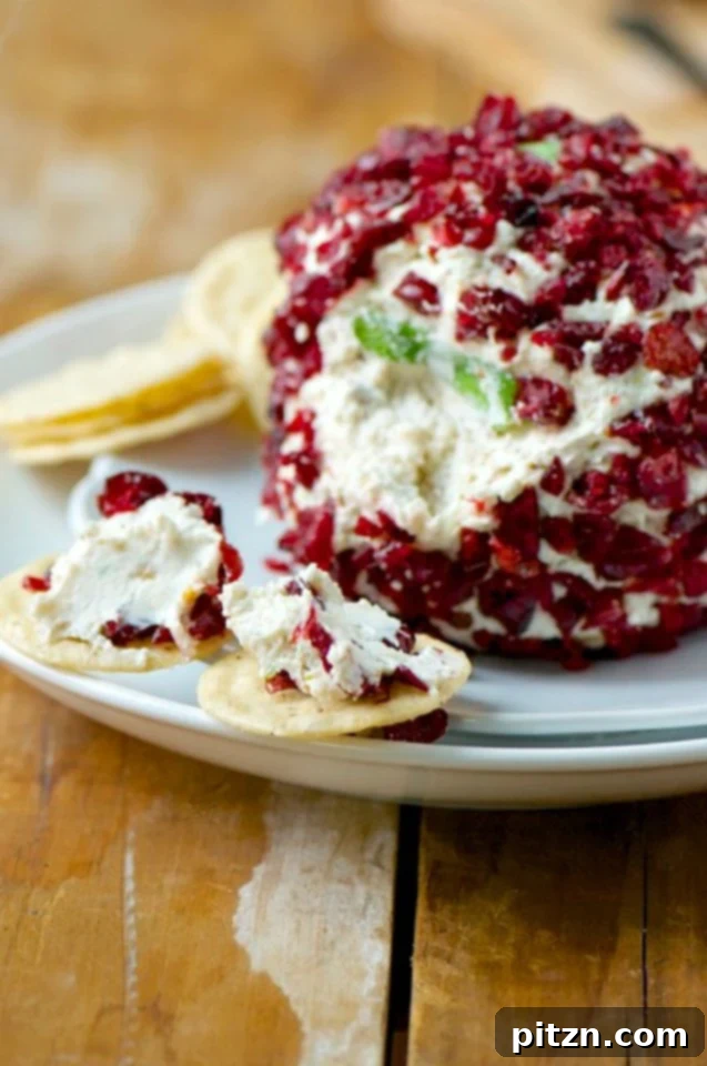 11 Irresistible Vegan Cheese Ball Recipes Nut-Free Options 4 Sage and Gouda cheese Ball