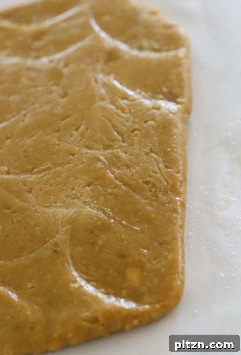 Besan Burfi with Condensed Milk. Indian Chickpea flour fudge with Condensed non dairy milk. | VeganRicha.com #vegan #glutenfree #indian #fudge