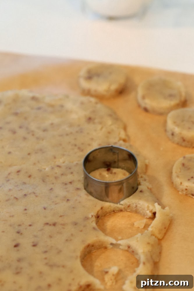 rolled out vegan cookie dough being cut into sugar cookies with a round metal cookie cutter