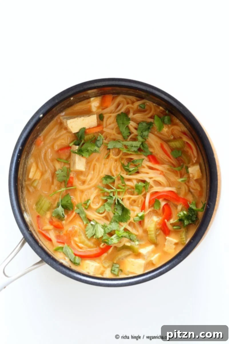 Delicious One Pot Peanut Sauce Noodles, a vegan, gluten-free, and oil-free dish ready in 20 minutes. Features brown rice noodles, vibrant vegetables, and a savory peanut butter sauce, perfect for a quick weeknight dinner. | VeganRicha.com