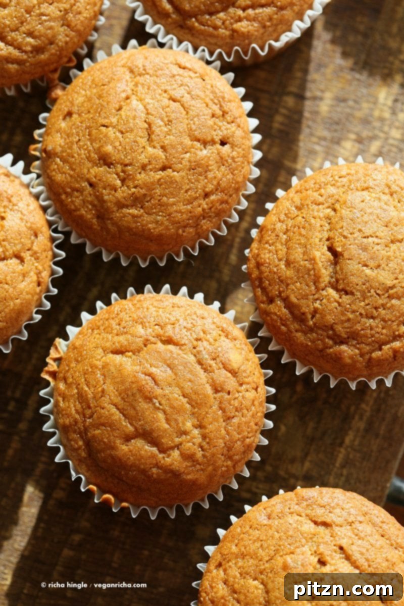 Luscious One-Bowl Vegan Mango Cupcakes 3 Close-up of freshly baked Vegan Mango Cupcakes with a golden brown top, showcasing the moist interior.