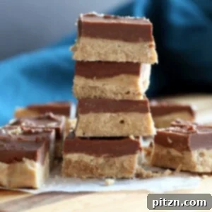 Chocolate Almond Butter Fudge Bars. Easy Vegan Fudge Recipe. Almond Butter or Peanut Butter Fudge. Gluten-free Soy-free Vegan Recipe | VeganRicha.com