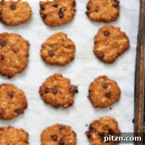 Close-up of a baked banana oatmeal cookie with chocolate chips.