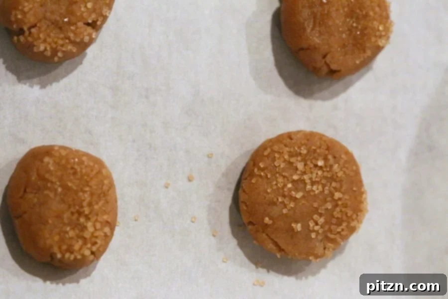 Effortless One-Bowl Ginger Tahini Cookies 5 Tahini cookies with Candied Ginger and Gingerbread Spices. Easy Holiday Cookies. Vegan Nut-free Palm oil-free Recipe | VeganRicha.com