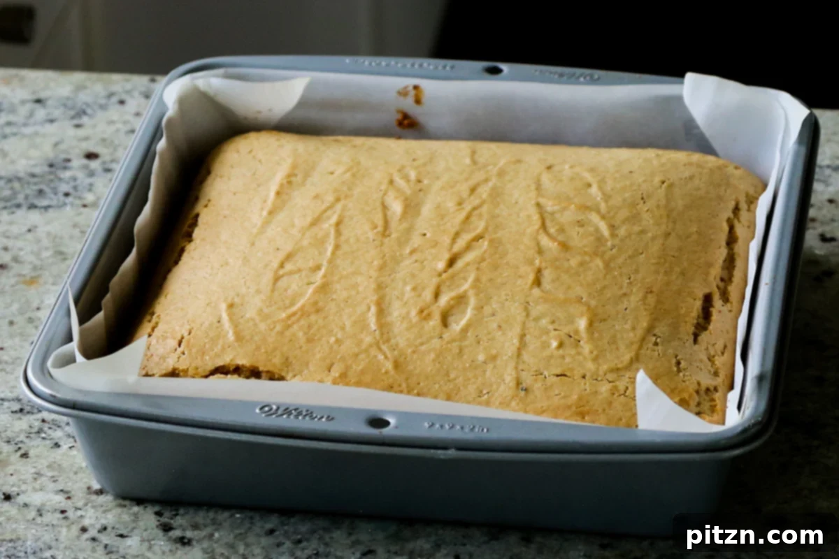 Vegan Double Peanut Butter Chocolate Cake 14 Baked vegan peanut butter cake in the pan after baking