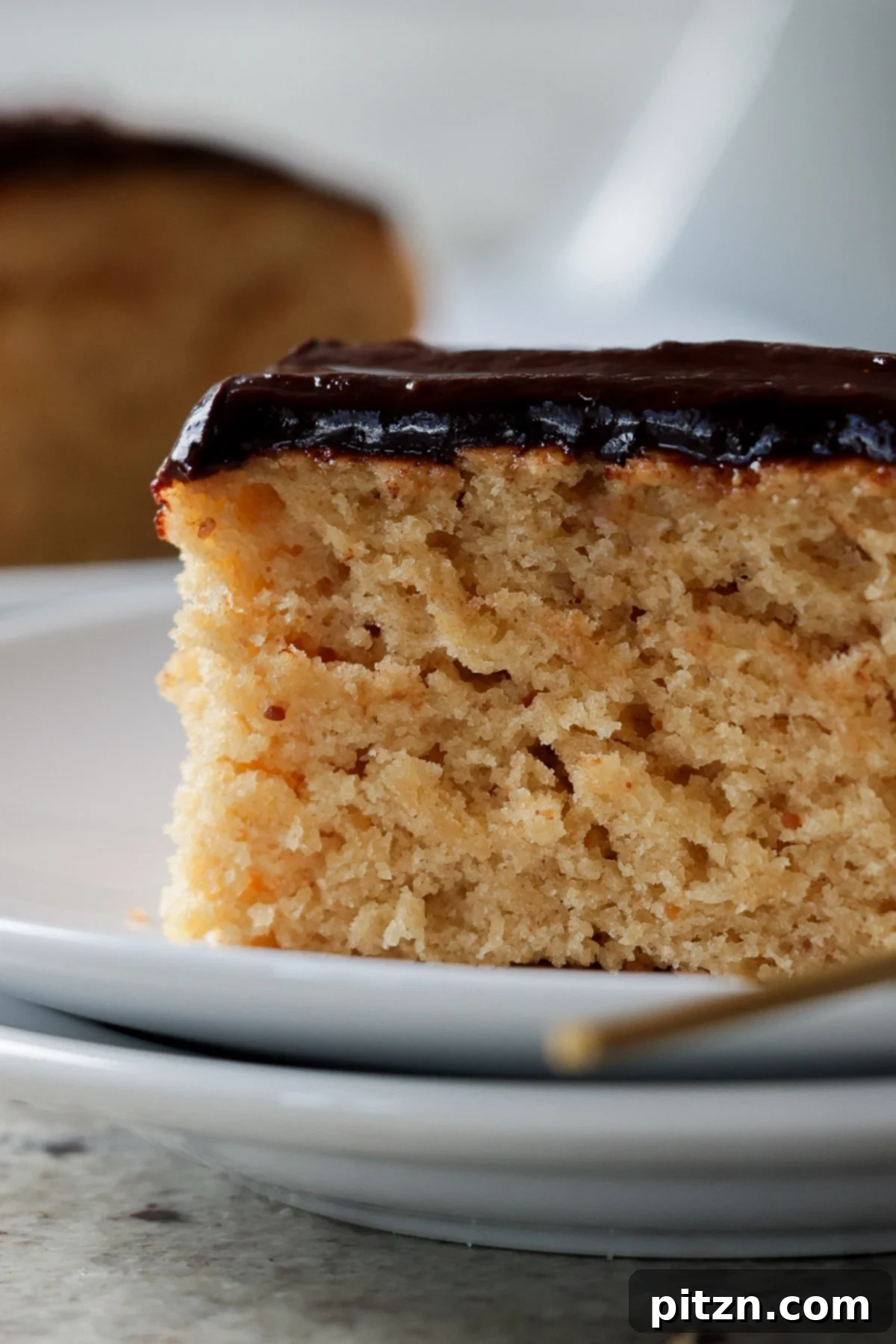 Vegan Double Peanut Butter Chocolate Cake 5 Close-up of a slice of vegan peanut butter cake with chocolate peanut butter glaze