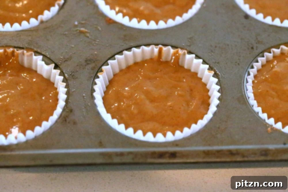 Vegan Blender Triple Ginger Muffins 4 Blending the batter for Soft Moist Triple Ginger Gingerbread Muffins.
