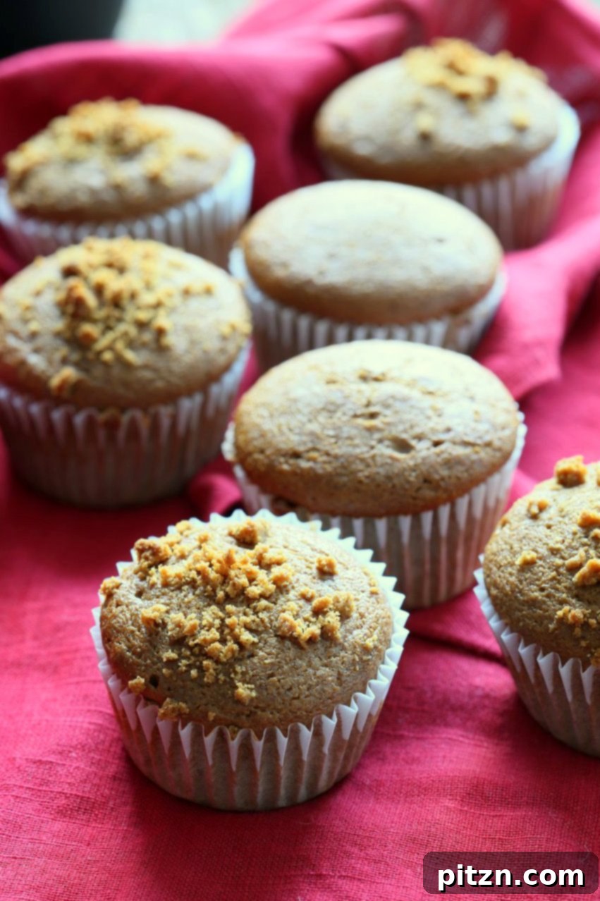 Vegan Blender Triple Ginger Muffins 5 Baked, cooled, and served Soft Moist Triple Ginger Gingerbread Muffins.