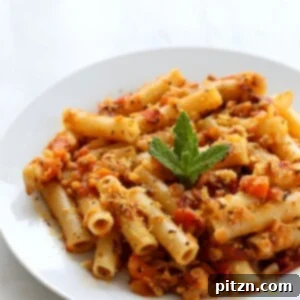Chipotle Lentil Tomato Ziti 5 Ziti with Chipotle Lentil Tomato Sauce - quick vegan recipe