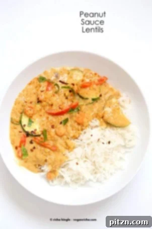 Veggies and Lentils in Peanut Sauce: A delicious vegan dish featuring assorted fresh vegetables and tender lentils bathed in a rich, flavorful peanut sauce. A naturally gluten-free, plant-based meal option that's both comforting and savory.