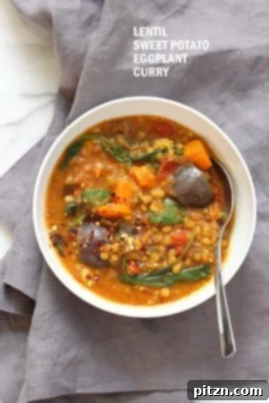 Instant Pot Eggplant Sweet Potato Lentil Curry: A rich, filling, and customizable vegan curry made with mung beans, lentils, sweet potato, and eggplant, seasoned with aromatic spices. Can be made in an Instant Pot or saucepan, with options for gluten-free, soy-free, and nut-free diets.