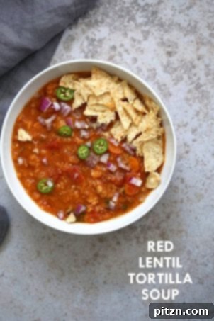 25 Easy Lentil Dishes Beyond Soup 10 Easy Red Lentil Tortilla Soup: A quick and flavorful 1-pot, 30-minute vegan tortilla soup made with red lentils and your choice of veggies. Garnish with crunchy tortilla chips or fresh avocado for a satisfying, gluten-free, soy-free, and nut-free meal.