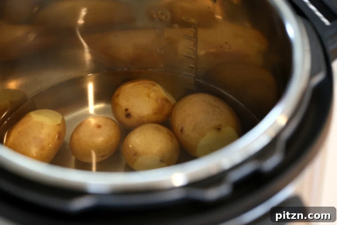 Spiced Smashed Potatoes with a Mustard Ginger Infusion 5 Small, whole potatoes boiling gently in an Instant Pot or saucepan, ready for the next step of the smashed potato recipe.