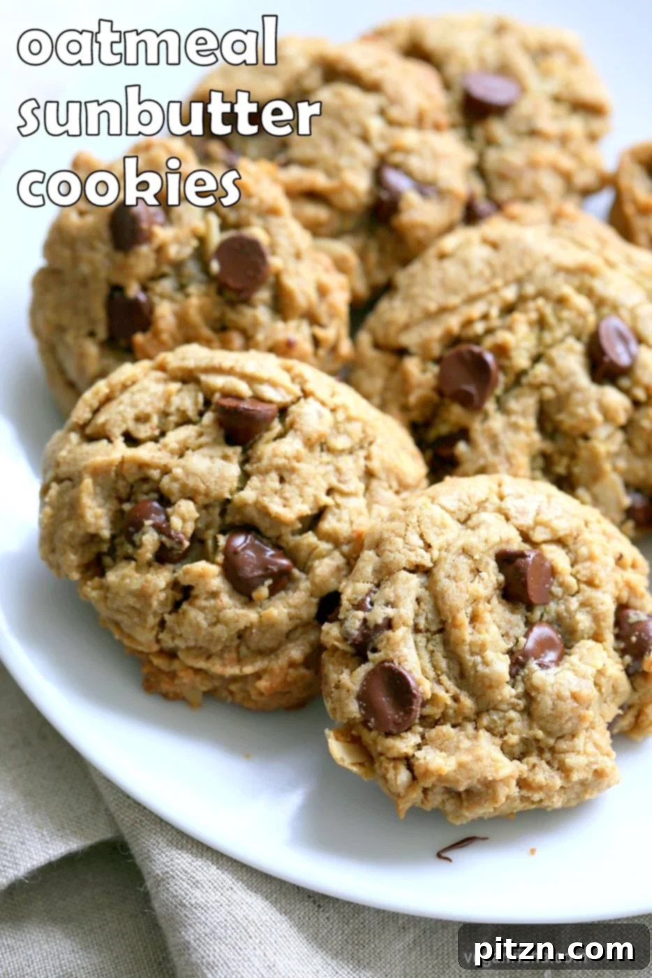 Effortless One-Bowl Oatmeal Chocolate Chip Sunbutter Cookies 2 Oatmeal Chocolate Chip Sunbutter Cookies. Cinnamony Sunflower seed butter Oatmeal Cookies. These Soft Sunbutter Oatmeal Cookies come together really quickly and make a great snack or treat. Refined Sugar Free #Vegan Nut#free #Recipe #veganricha Can be #Glutenfree | VeganRicha.com