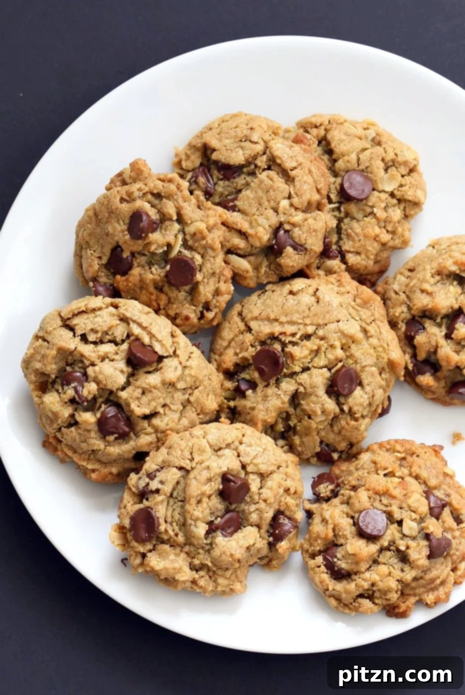 Effortless One-Bowl Oatmeal Chocolate Chip Sunbutter Cookies 3 Oatmeal Chocolate Chip Sunbutter Cookies. 1 Bowl Cinnamony Sunflower seed butter Oatmeal Cookies. These Soft Cookies come together really quickly and make a great snack or treat. Vegan Nut-free Recipe. Can be Gluten-free | VeganRicha.com