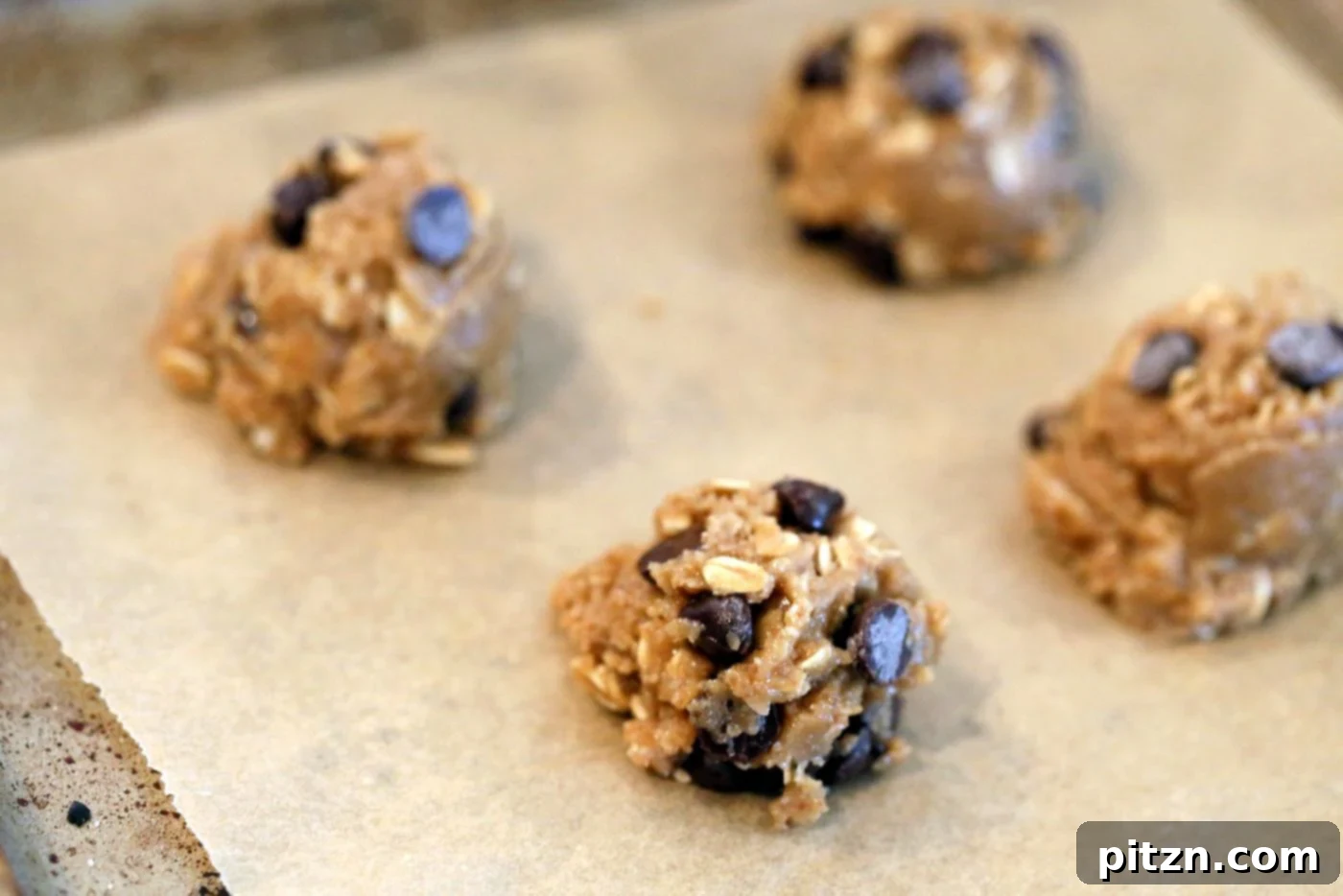 Effortless One-Bowl Oatmeal Chocolate Chip Sunbutter Cookies 5 Oatmeal Chocolate Chip Sunbutter Cookies. Cinnamony Sunflower seed butter Oatmeal Cookies. These Soft Cookies come together really quickly and make a great snack or treat. Vegan Nut-free Recipe. Can be Gluten-free | VeganRicha.com
