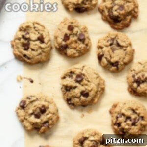 Effortless One-Bowl Oatmeal Chocolate Chip Sunbutter Cookies 7 Oatmeal Chocolate Chip Sunbutter Cookies. Cinnamony Sunflower seed butter Oatmeal Cookies. These Soft Cookies come together really quickly and make a great snack or treat. Vegan Nut-free Recipe. Can be Gluten-free | VeganRicha.com