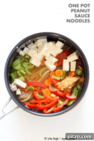 15 Protein-Packed Vegan Meals 9 One pot peanut sauce noodles, Ready in 20 minutes! Brown Rice Noodles, Veggies, Peanut or Almond Butter, spices, flavors, boil and done. Easy Quick Weeknight Dinner Recipe | VeganRicha.com #glutenfree #veganricha #vegan