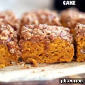 Vegan Pumpkin Coffee Cake with a crunchy pecan crumb topping, moist and spiced.
