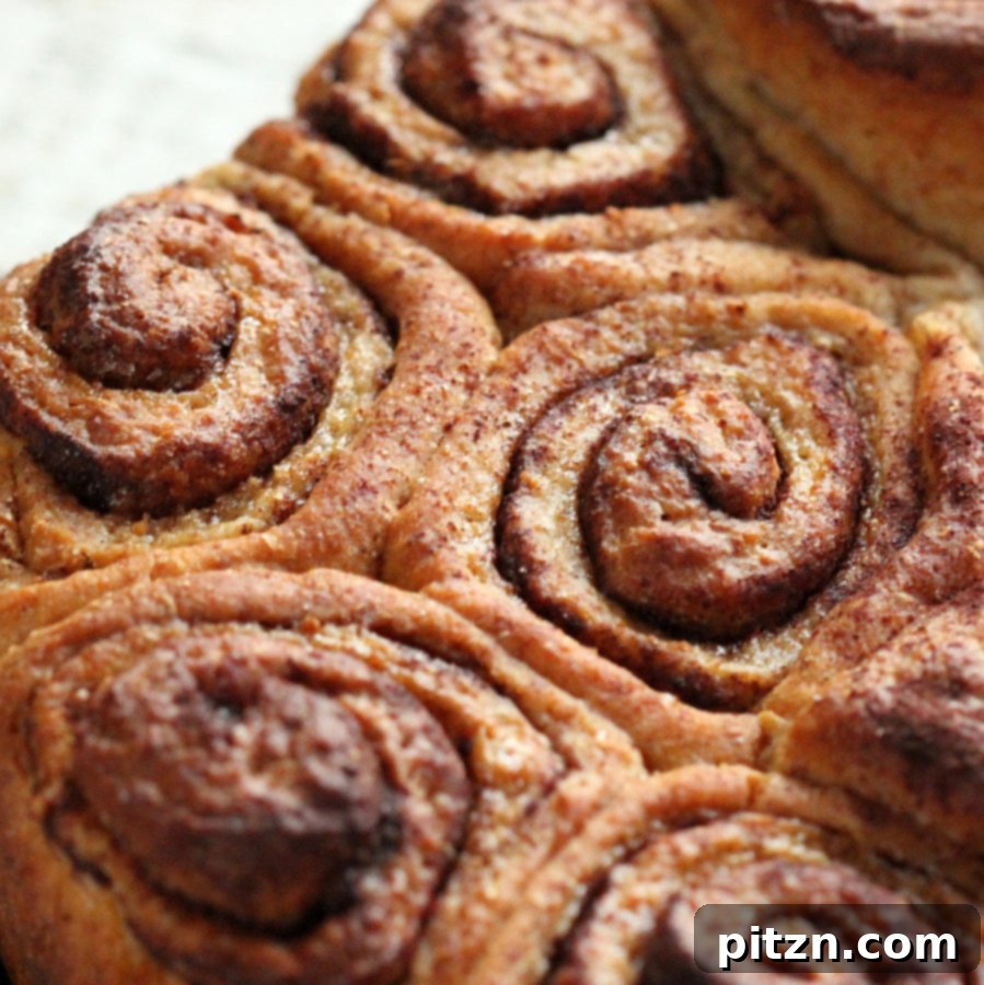 Father's Day Vegan Brunch Extravaganza 2 Vegan Father's Day Breakfast: Fluffy Cinnamon Rolls