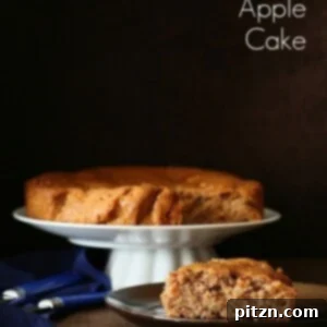 Vegan Spiced Apple Cake