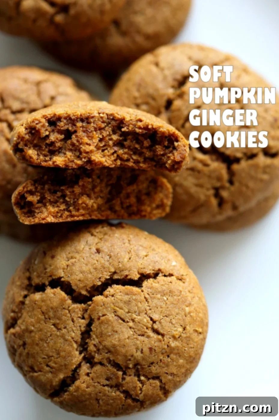 Soft Fudgy Vegan Pumpkin Ginger Snaps. Delicious Plant-Based Ginger Cookies with warming spices and rich pumpkin flavor. Perfect for Fall and Holidays. Gluten-free and oil-free options available.