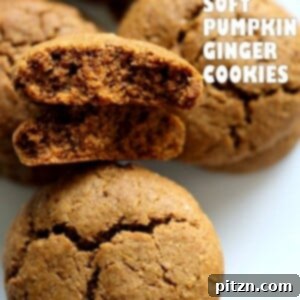 Vegan Pumpkin Ginger Snaps. Soft Fudgy Cookies with gingerbread spices and pumpkin. Delicious plant-based recipe.