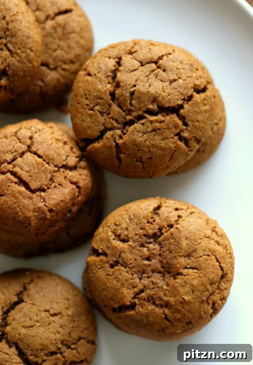 Soft Vegan Pumpkin Ginger Snaps with a cup of tea, ready to be enjoyed. A perfect plant-based treat for any occasion.