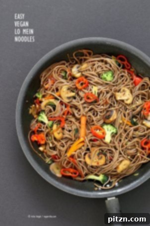 Easy vegan Lo Mein with soba noodles, ready in 20 minutes, a perfect fridge clean-out veggie dish that can use any noodles and is nut-free.