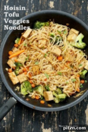Hoisin tofu noodle stir fry with mixed vegetables, a flavorful vegan meal.