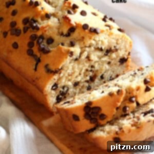 Decadent Vegan Chocolate Chip Cake 8 Vegan Chocolate Chip Cake Recipe. This Chocolate Chip Quick Bread is super easy and popular to everyone. Add seasonal berries, make cupcakes, add a streusel for variation. #Vegan #Soyfree #Nutfree #Recipe GF option #veganricha | VeganRicha.com
