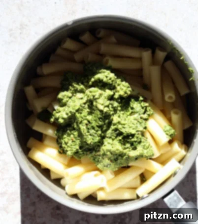 Vibrant Vegan Pesto Pasta with Smoky Charred Broccoli 10 Freshly prepared vegan pesto being mixed with cooked Ziti pasta in a large white bowl.