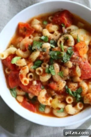 20 Affordable Vegan Meals 16 Vegan Minestrone - A comforting white bean soup with elbows, mixed vegetables, basil, and vegan parmesan. A versatile vegan, dairy-free, soy-free recipe, adaptable to be gluten-free and nut-free.