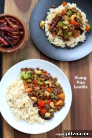 Kung Pao Lentils, a flavorful and easy vegan recipe from Vegan Richa, perfect for a budget-friendly meal.