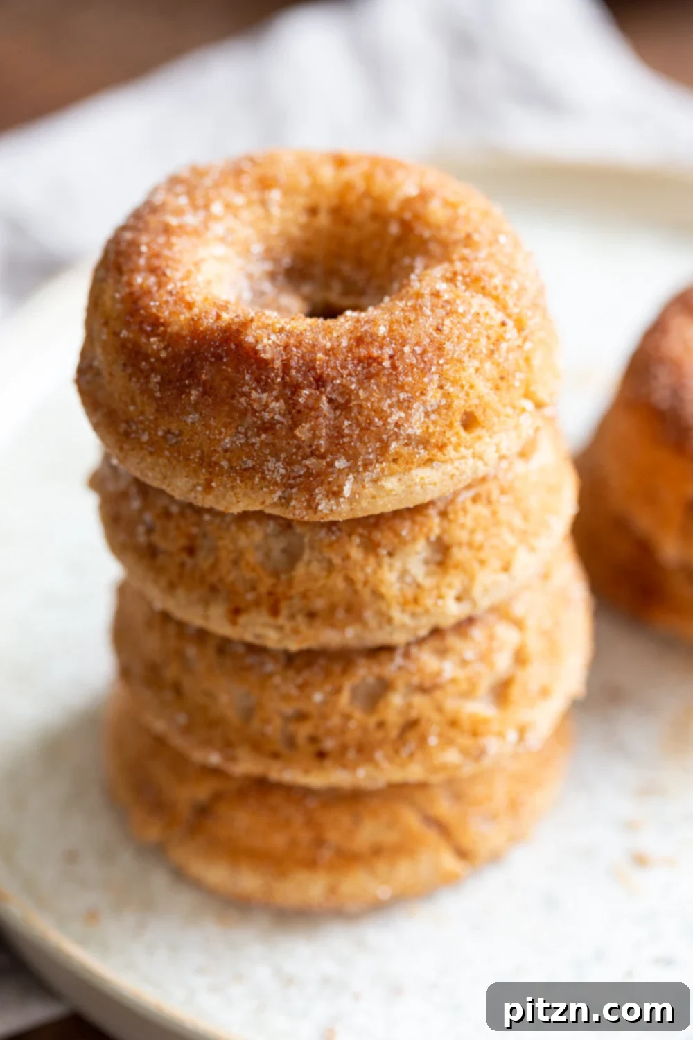 Delicious Baked Apple Cider Donuts, perfect for fall, featuring concentrated spiced cider. Vegan, Soy-free, Nut-free, Refined Sugar-Free, Oil-free, and Gluten-free options available.