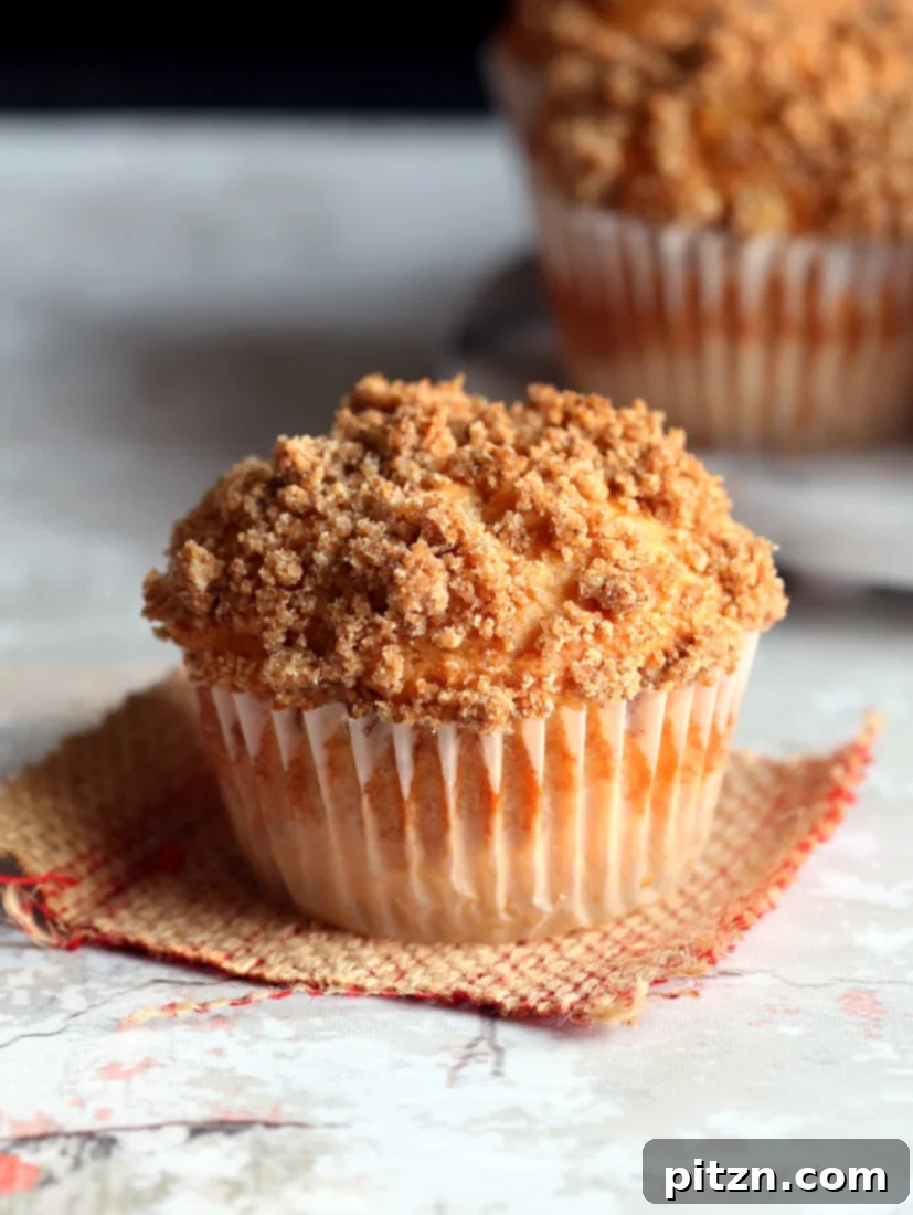 Cozy Vegan Apple Cider Baked Donuts 4 A selection of Baked Apple Cider Donuts and muffins, showcasing their amazing spiced flavor from concentrated cider. A perfect vegan, soy-free recipe for fall.